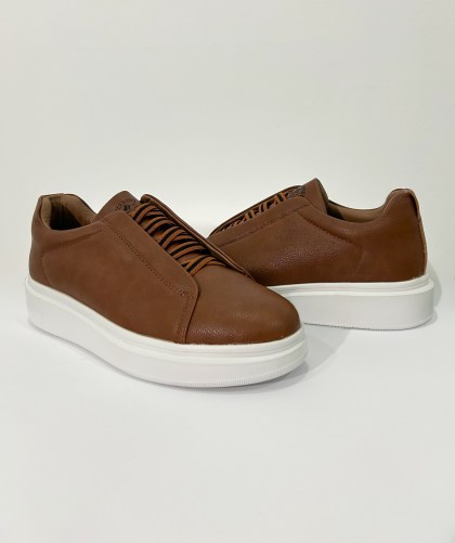 1. Y258 camel